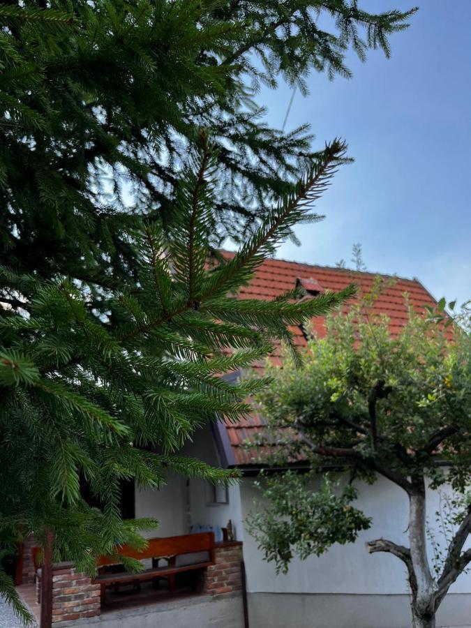 Holiday Home Amila Visoko Dış mekan fotoğraf