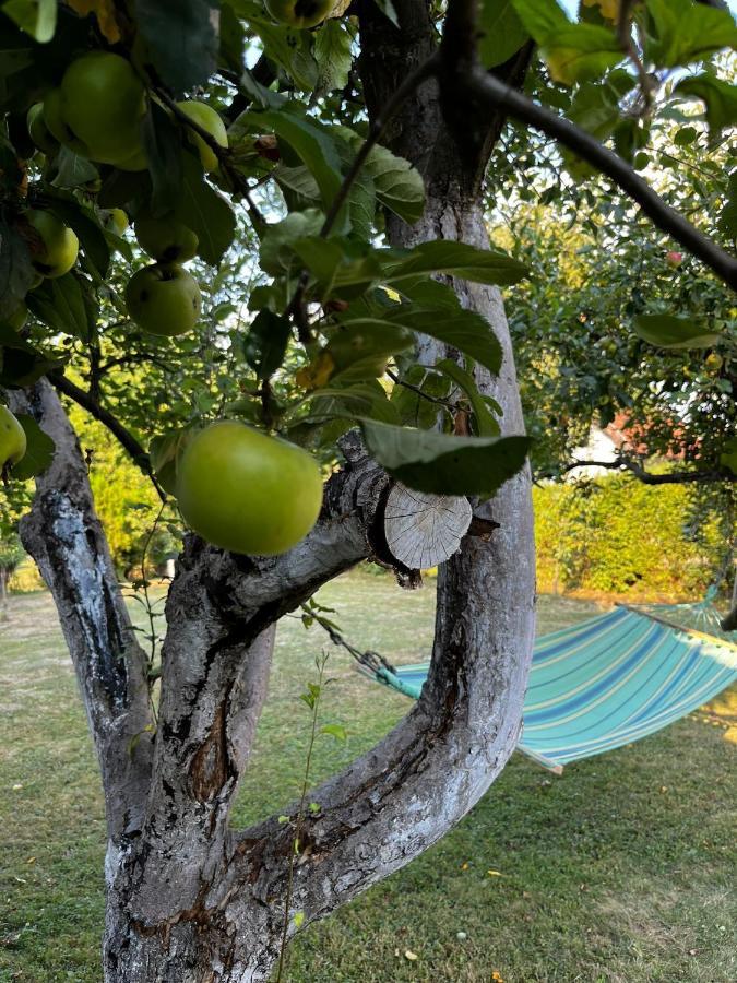 Holiday Home Amila Visoko Dış mekan fotoğraf